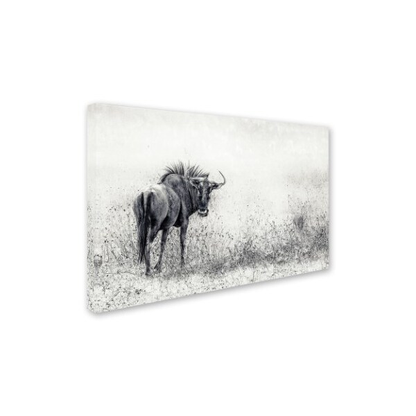 Piet Flour 'The Endless Grass Fields' Canvas Art,22x32